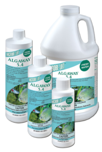 Algae Control Image
