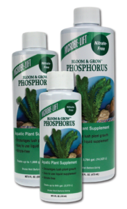 Phosphorus Image