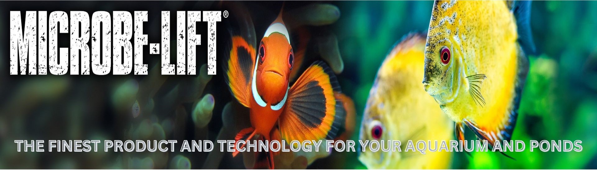 THE FINEST PRODUCT AND TECHNOLOGY FOR YOUR AQUARIUM AND PONDS - 1